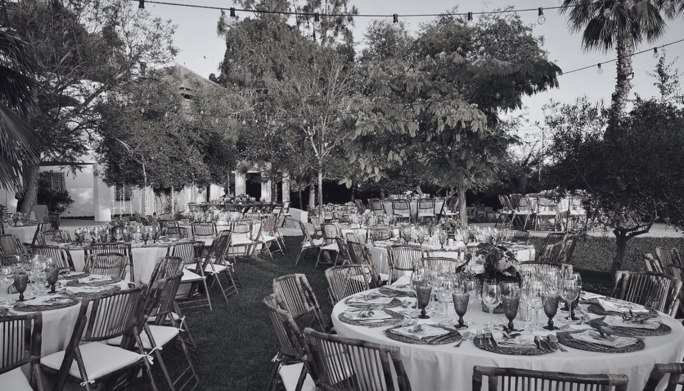 Diseño sin título (7)